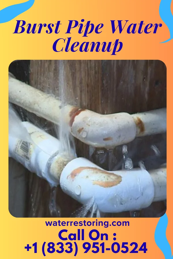 Burst Pipe Water Cleanup in Rugby, ND