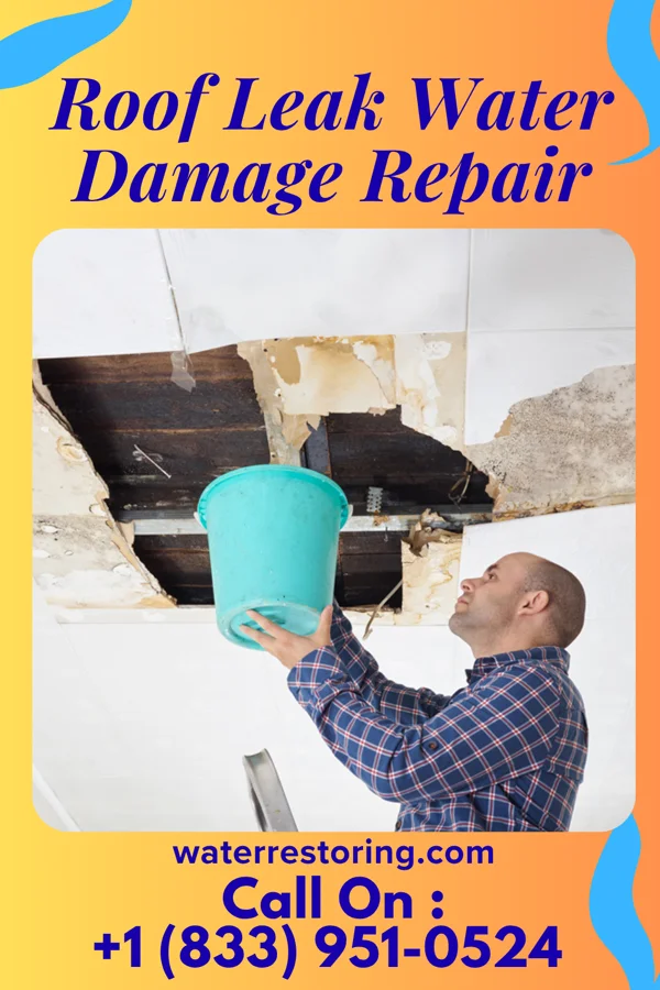 Roof Leak Water Damage Repair in Rugby, ND