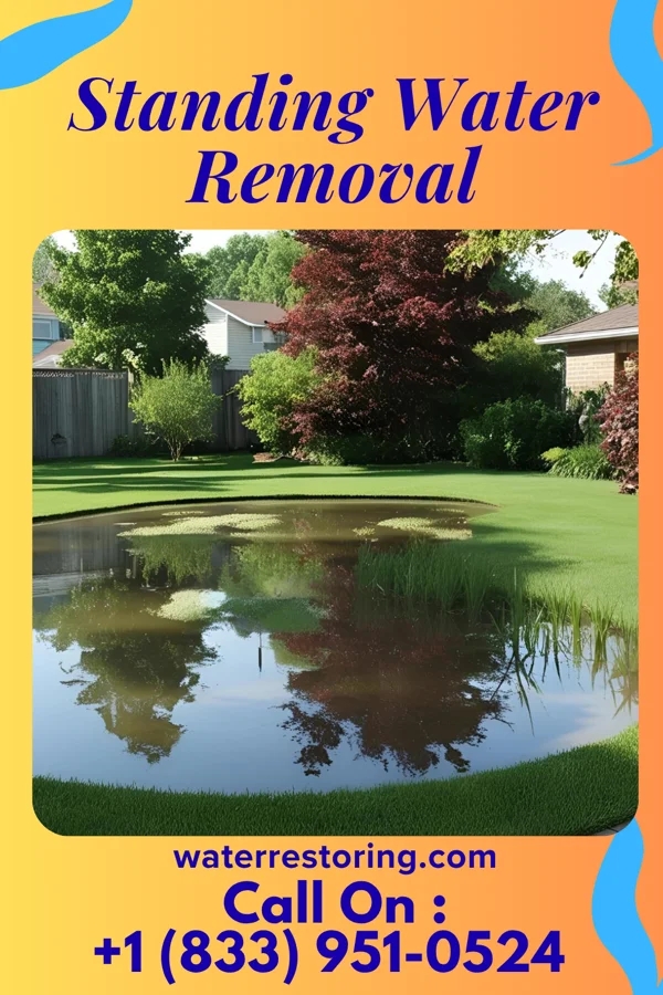 Standing Water Removal in Rugby, ND